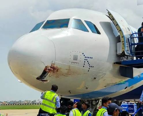 A major accident was averted as an IndiGo Aircraft on its way to Kolkata  via Ranchi from Patna had an emergency landing at Ranchi Airport after  being hit by a bird.
