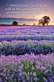 One Of My Favorite Quotes Take Time To Notice God In Everything He Made It For You Lori Beautiful Nature Nature Lavender Fields Provence
