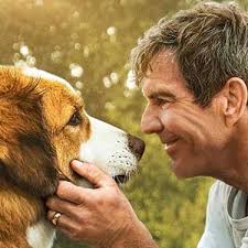 Is written by chris sparling and follows a family who fight for survival before a comet impacts earth. The 10 Best Children S Movies On Amazon Prime Londonducklings