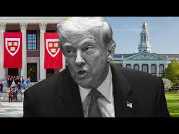 Mateo Rosales Leygue