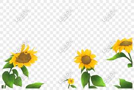 Download now 73 bunga matahari clipart gratis domain publik vektor. Bunga Matahari Png Grafik Gambar Unduh Gratis Lovepik