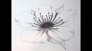 100 draw cherry blossoms cherry blossom tattoo design. How To Draw A Cherry Blossom Youtube