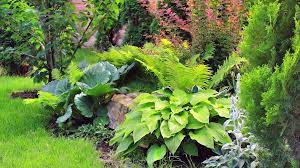 Blühende ziersträucher verleihen dem garten lebendigkeit und eignen sich hervorragend als gestaltungselemente. Geholze Im Garten Baume Und Straucher Aussuchen Themen Br De