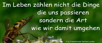 Alleinsein ist schön, wenn man allein sein will, nicht, wenn man es muss. Kurze Spruche Uber Vertrauen Zitate Schone Gedichte Weisheiten Texte