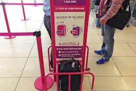 Wizz air allows you to bring sporting equipment as checked baggage only. VeÈ™ti Bune Pentru Cei Care CÄƒlÄƒtoresc Cu Wizz Air Nu VeÈ›i Mai Fi TaxaÈ›i Pentru Acest Serviciu Ziarul Romanesc Uk È™tiri Pentru Romanii Din Marea Britanie