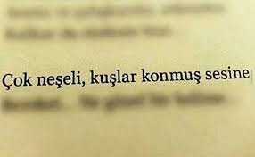 Cok Neseli Kuslar Konmus Sesine Sozler Anlamlisozler Guzelsozler Manalisozler Ozlusozler Alinti Alintilar Alintidir Guzel Soz Ozlu Sozler Edebiyat