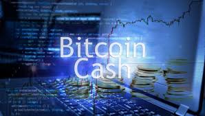 Eventually, bitcoin cash will a 21 million cap. Bitcoin Cash Price Prediction For 2025 And 2030 Trading Education