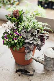From The Loft Above Winter Container Gardening Garden Containers Container Plants