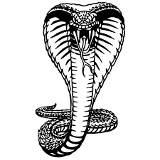 King cobra hood extended coloring pages. King Cobra King Cobra Hood Extended Coloring Pages Cobra Tattoo Animal Coloring Pages King Cobra Tattoo