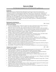 Structure your project manager resume template properly. 10 Best Ideas For A Senior Project 2021