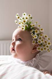 How To Make A Fresh Flower Crown Diy Tutorial Chloe Mullaney Handmade