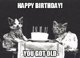 Pin On Funny Happy Birthday Cat Memes