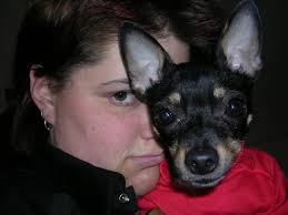 Pineapple trick for stopping dog from eating poop?