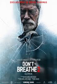 Don't Breathe 2 Headscratchers