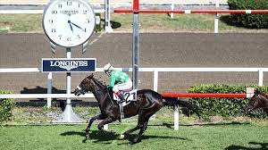 Gazi koşusu'nu kazanan safkan, bu ikramiyenin dışında 165 bin lira da at sahibi primi de alacak. 93 Gazi Kosusu Nu The Last Romance Kazandi