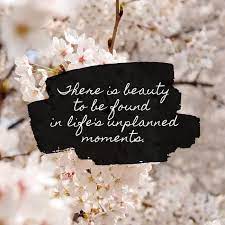 70 deep emotional quotes with images for boyfriend and girlfriend. Finding Beauty In Life S Unplanned Moments Katie M Reid