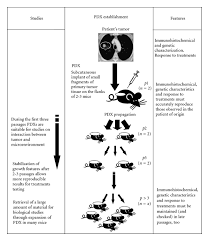 Flow Chart Of Establishment Of Patient Derived Xenografts