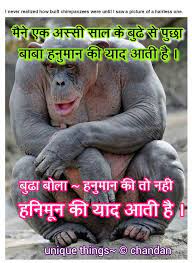 Manki railway station is a station on konkan railway. Funny Manki Unique Things Chimpanzee Funny
