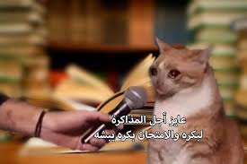 pin by maha alani on lol funny dude cute memes funny quotes