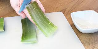 Aloe vera gesichtsmaske diy aloe vera maske selber machen in. á Aloe Vera Die Perfekte Pflanze Fur Haarkur Und Gesichtspflege