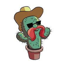 In preparation for jack boys, here's a. Cactus Jack S Stream