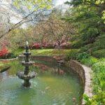 Leura Garden Festival