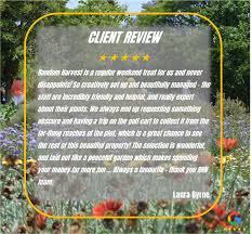 Image result for Oxyanthus pyriformis