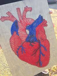 Each string art heart represents a grandchild with their name listed below. Anatomical String Art Heart Album On Imgur