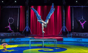 I can play the guitar. Garden Bros Circus In Daytona Beach Fl Groupon