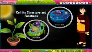 Check spelling or type a new query. Cell Its Structure And Functions Class 9 Biology Ssc Smart Class Youtube
