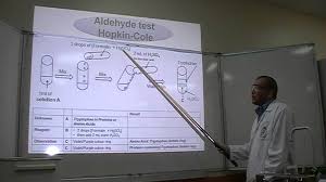Intact casein and base hydrolyzate are positive; Hopkin Cole Test Part 1 Identification Of Amino Acids Tryptophan Youtube