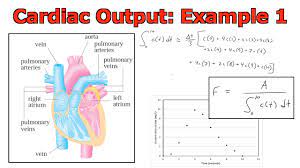 Heart rate is the speed of the heartbeat measured if a patient's stroke volume is 80 ml with each contraction and his heart rate is 70 beats/minute, calculate the patients cardiac output. Applications Of Integrals Cardiac Output Example 1 Youtube