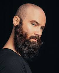 Especially if you decide to dye your beard. 40 Irresistible Bald Men With Beard Beard Styles With Shaved Head Comb And Scissors Bald Men With Beards Beard No Mustache Beard Styles