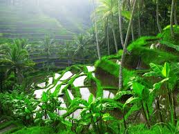 Download now background foto inkjet printing pemandangan tembok besar raksasa cina uk 2 6x3 mtr s 11361. 70 Ide Pemandangan View Pemandangan Alam Foto Alam