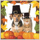 Cooking with Miss Rhonda-A Pet-acular Thanksgiving