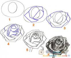 Trandafirii sunt flori foarte populare, care frecvent sunt văzute ca un simbol al. DesenÄƒm Un Trandafir Alb Cum SÄƒ Desenezi Un Trandafir Cu Un Creion
