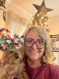 yorkie gets new bed and toys