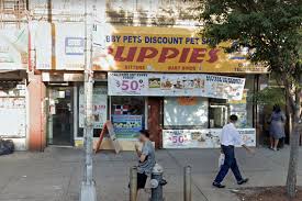 Petsmart offers quality products and accessories for a healthier, happier pet. Thief Makes Off With Puppies And Birds From Nyc Pet Store
