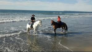 The Horseback Riding Trail In Southern California That S Pure Magic In 2020 Horseback Riding Trails Beach Horseback Riding Horseback Riding