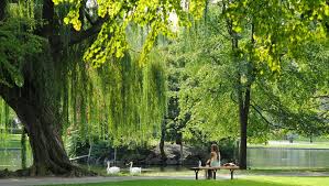 Piscines, musées, halles… Quels sont les équipements ouverts ou fermés à l’occasion des fériés du mois de mai