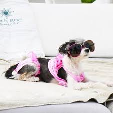 Find 21,965 traveler reviews, 8,492 candid photos, and prices for 242 pet friendly hotels in houston, texas, united states. The Best Pet Friendly Hotels In The World Suitcase Magazine