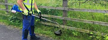 Check spelling or type a new query. How To Use Your Grass Strimmer The Ultimate How To Guide Help Advice