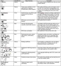 Cranial Nerves Chart Nursing Assessment Neurological