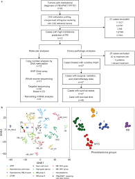 Check out our bric a brac selection for the very best in unique or custom, handmade pieces from our beaded bracelets shops. Pineoblastoma Segregates Into Molecular Sub Groups With Distinct Clinico Pathologic Features A Rare Brain Tumor Consortium Registry Study Springerlink