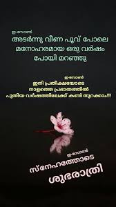 Pin By Eron On Good Night Malayalam Good Night Night Flowers