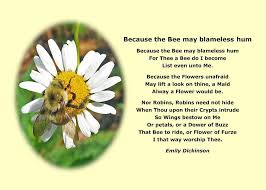 Emily Dickinson Poster Bee Naure Poetry By Maxwell Emily Dickinson Poetry Dickinson Poems