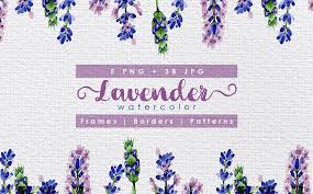 Holiday Purple Lavender Flowers Png Watercolor Set Illustration Illustration Lavender Flowers Holiday Watercolor Flowers Lavender Flowers Flowers