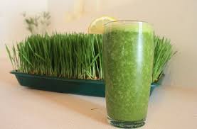 Green Juice Learning About Natural Health And Taking Action Umoyo Natural Health Centre For Detox Programs Weight Lo Natural Health Health Health And Beauty