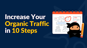 We did not find results for: How To Increase Organic Traffic For Your Website In 10 Steps
