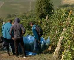 '8' }} locuri de munca. Exclusiv Locuri De MuncÄ Pentru Elevi Èi StudenÈi Oferite De O FirmÄ De LangÄ OneÈti Pe Perioada VacanÈei De VarÄ Unu Pe Trotus